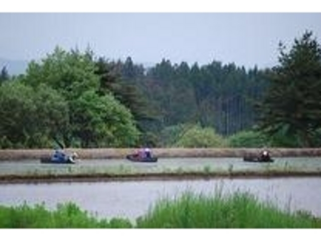 ����񂳂��E�ݎ��̌�_����񂳂��E�ݍ̂�̌�