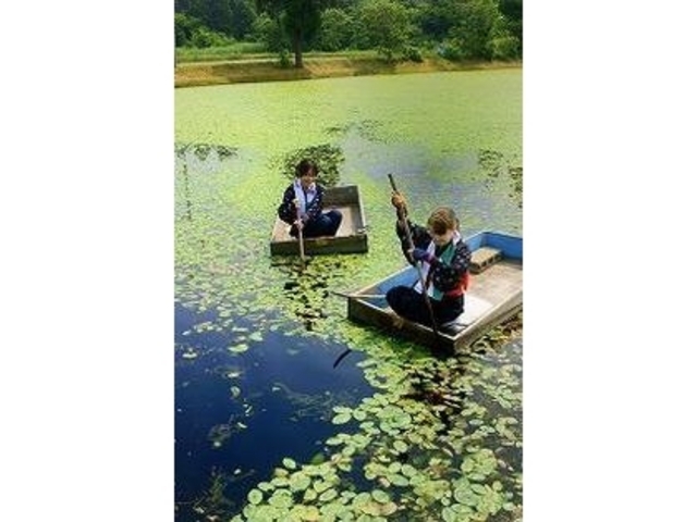 ����񂳂��E�ݎ��̌�_����񂳂��E�ݍ̂�̌�