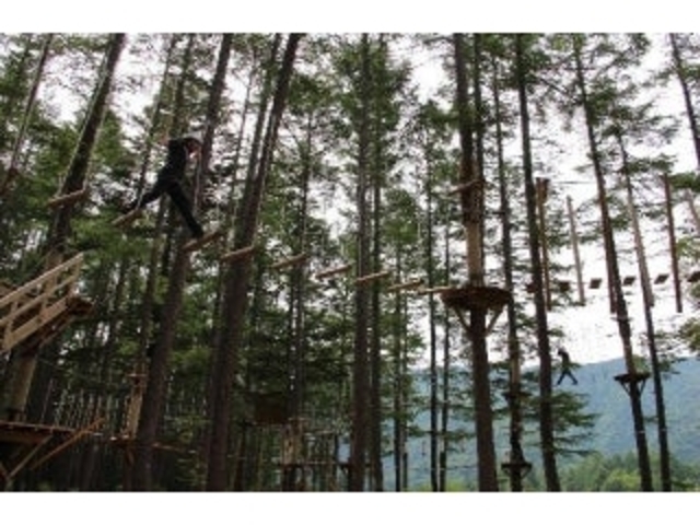 �ۏ������E��