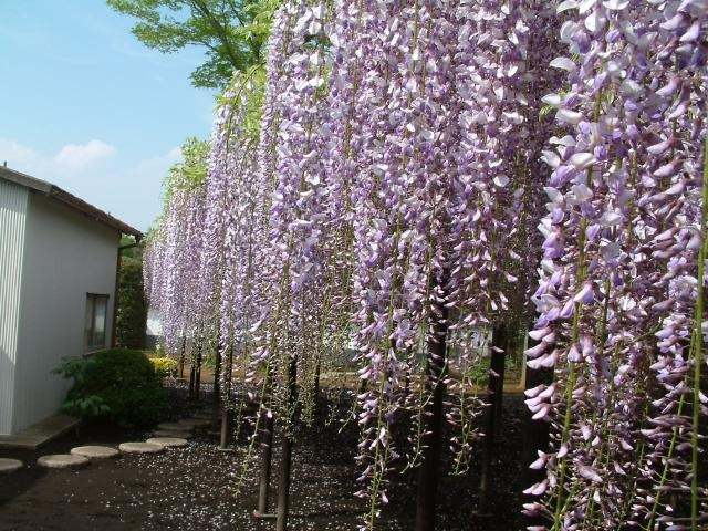 �]��̓�_�]��̓�