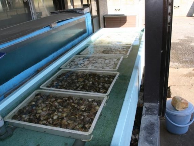 �Ă��͂܂̓X�y�����Y