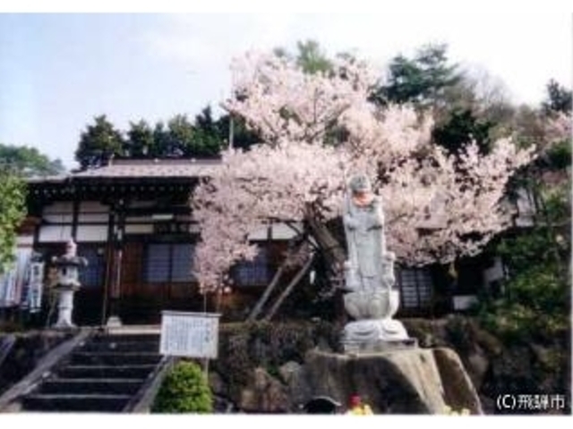 ���᎛�̎ʐ^1