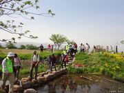 ŏtbgpXR[X^݂͂̏̎ʐ^2