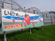 ���������������̎ʐ^2