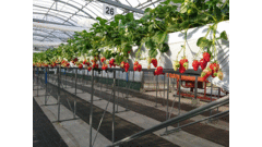 ���������������̎ʐ^3