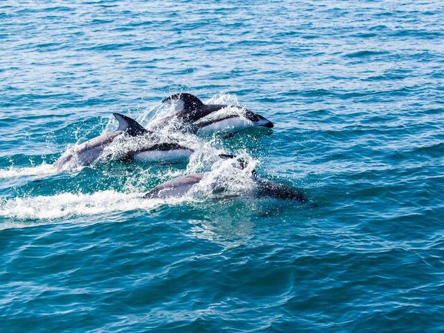 �C���J�E�H�b�`���O�̎ʐ^1