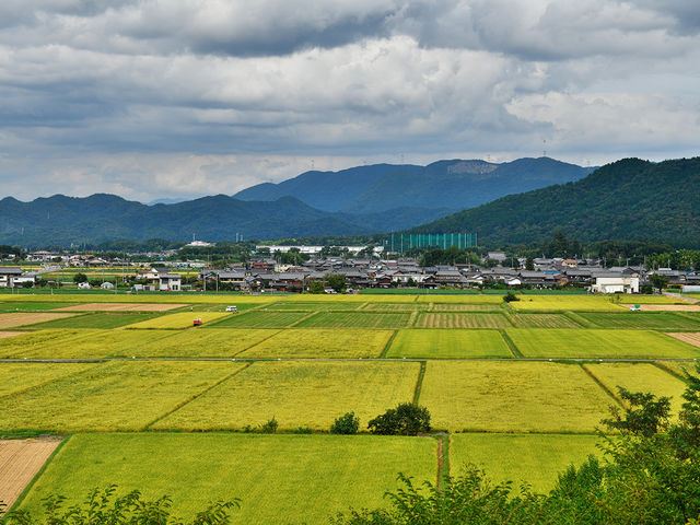 ���̉w�����炬�̗�������