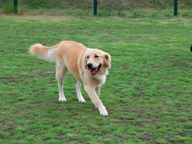 ���̉w�����炬�̗�������