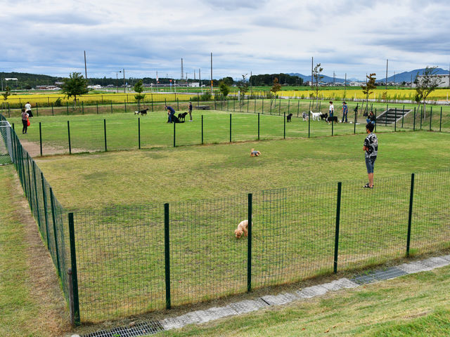 ���̉w�����炬�̗�������