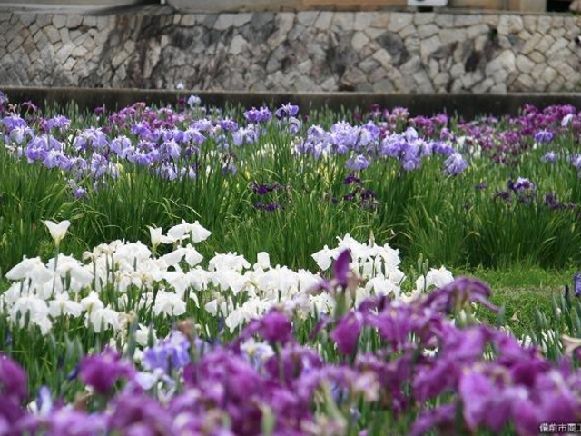 �k���ԏҊ���2_�k���ԏҊ���