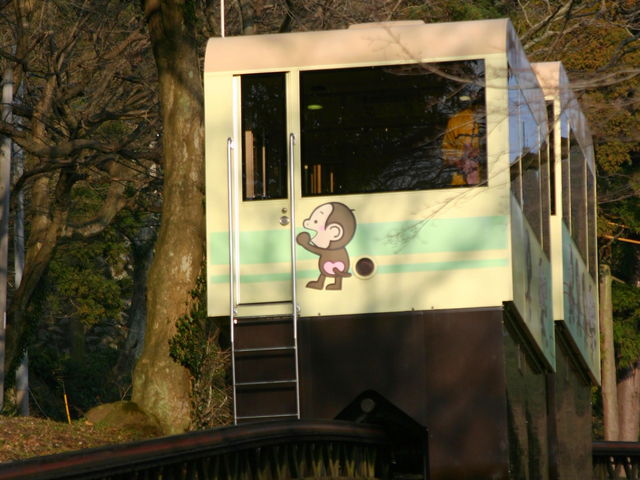 高崎山自然動物園さるっこレール