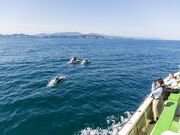 �C���J�E�H�b�`���O�̎ʐ^2