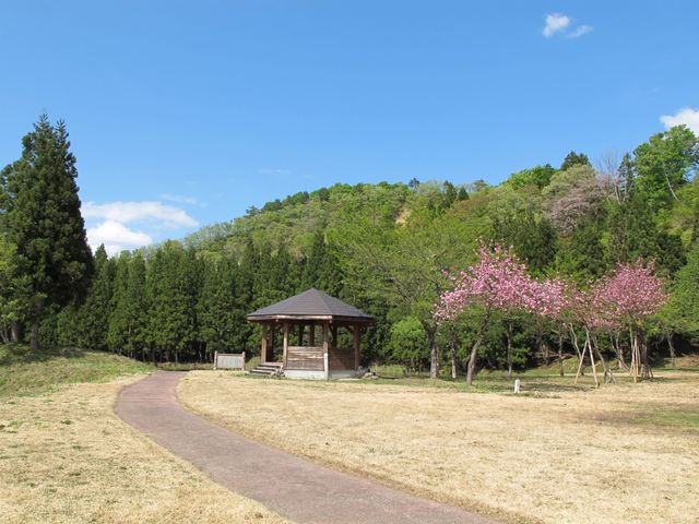 �d�r��r���R�ώ@�L��