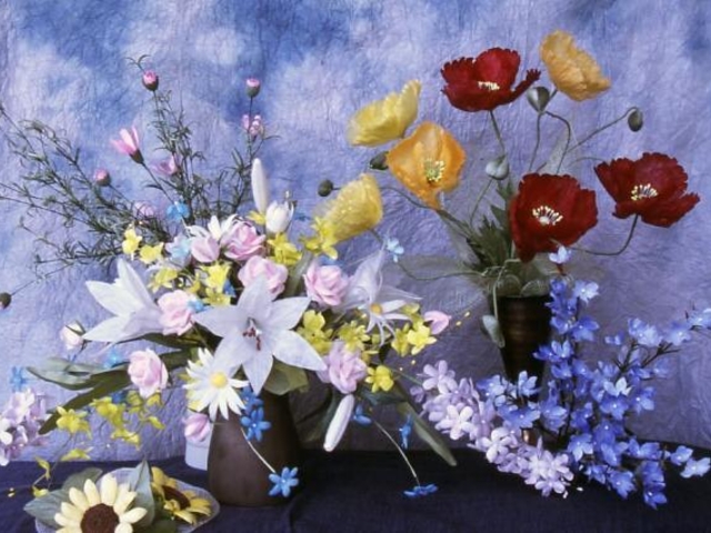 �V���N�t�����[�̎ʐ^1