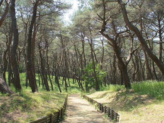 ������X�ь����̎ʐ^1