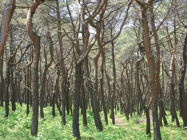 ������X�ь���