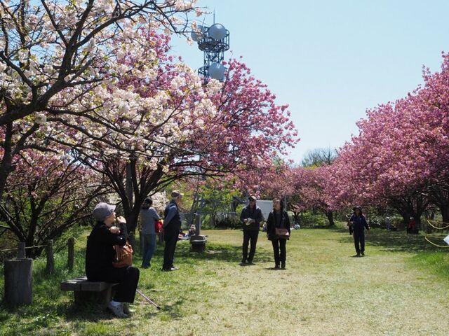 ���㎛����