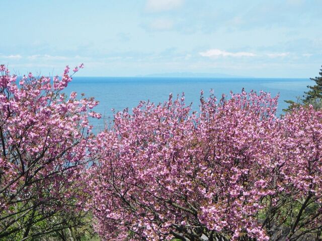 ���㎛����