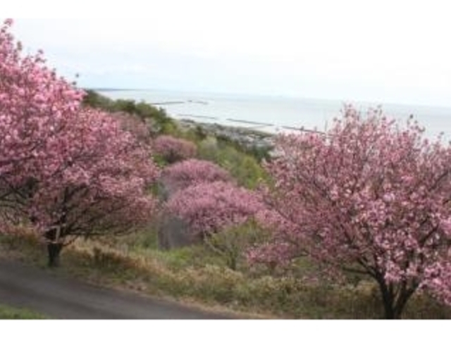 ���㎛����1_���㎛����