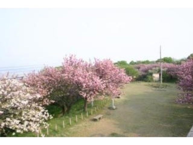 ���㎛����2_���㎛����