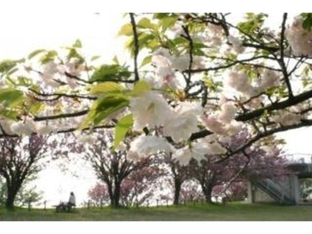 ���㎛����3_���㎛����