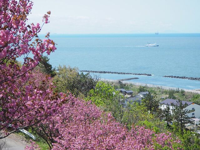 ���㎛����1_���㎛����