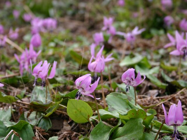 ���㎛����2_���㎛����