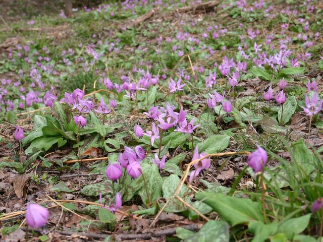 ���㎛����3_���㎛����