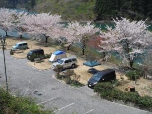 ��q���X�ь���1_��q���X�ь����I�[�g�L�����v��