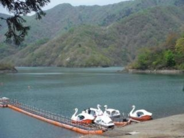 ��q���X�ь���3_��q���X�ь����I�[�g�L�����v��