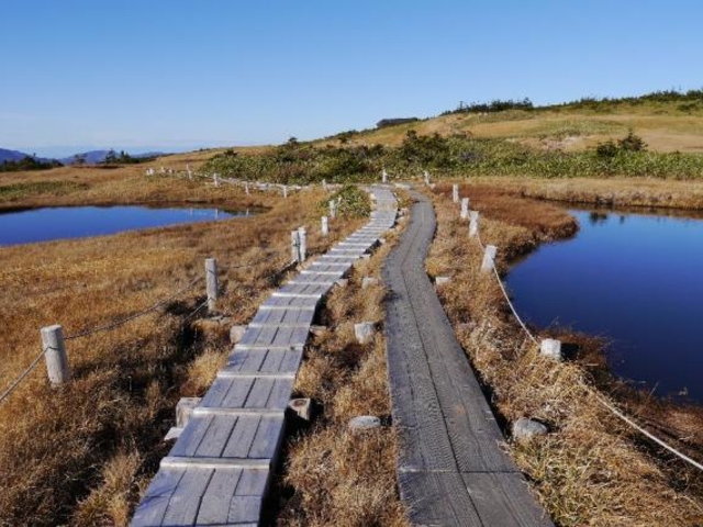 �c��R�E�P��o�R���^�����o�R��