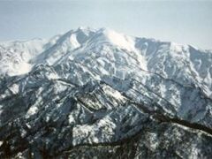 �T���x�i���Ԃ肳�������j�̎ʐ^1