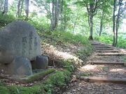 �������̎ʐ^4