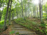 �������̎ʐ^3