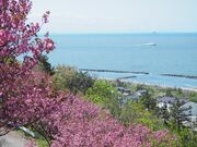 ���㎛�����̎ʐ^1