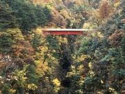 ��΃_���΂̎ʐ^2