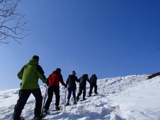 �X�m�[�V���[�̌��̎ʐ^1