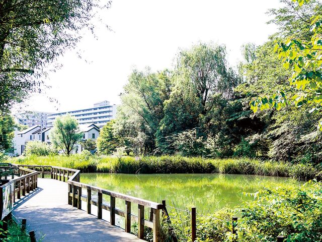 �p���̒r_�p���̒r