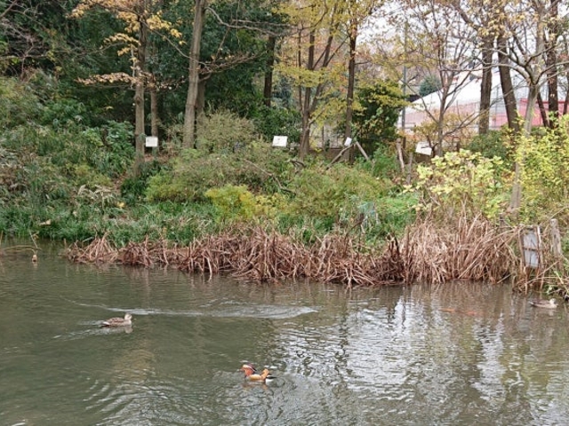 �p���̒r_�p���̒r