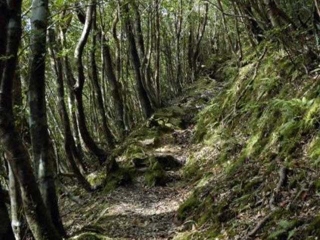 ���p�x�o�R���̎ʐ^1