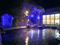 青の洞窟温泉　ピパの湯 ゆ～りん館の写真1