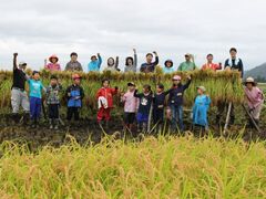 �i��ʍ��c�@�l�j�z�O�����̔_�ўَɂ̎ʐ^1