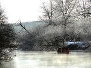 �J�k�[�̌��̎ʐ^1