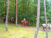 ��n�N���u�u�z���C�g�T�h���v�̎ʐ^2