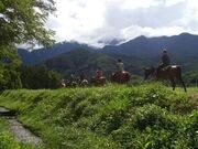 ��n�N���u�u�z���C�g�T�h���v�̎ʐ^3