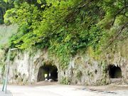 R̒̊CR̒@ɂ@Ђ݂n~[WA̎ʐ^3