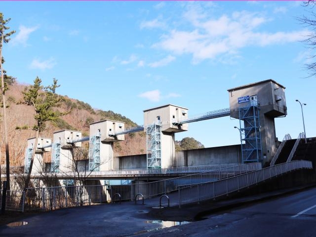 ������_���㐅��