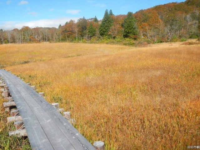 �ʌ������̍g�t�̎ʐ^1