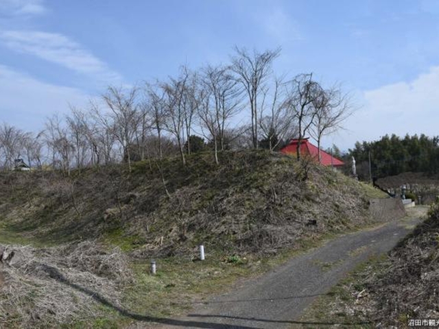 �����Ղ̎ʐ^1