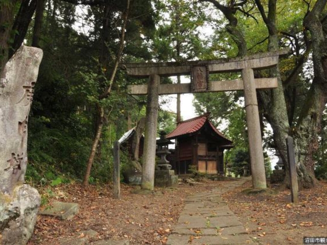 �ˎ��씪���{�̎ʐ^1